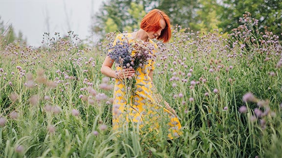 Bildquelle: Schüt-Duis Fenster & Türentechnik GmbH & Co.KG